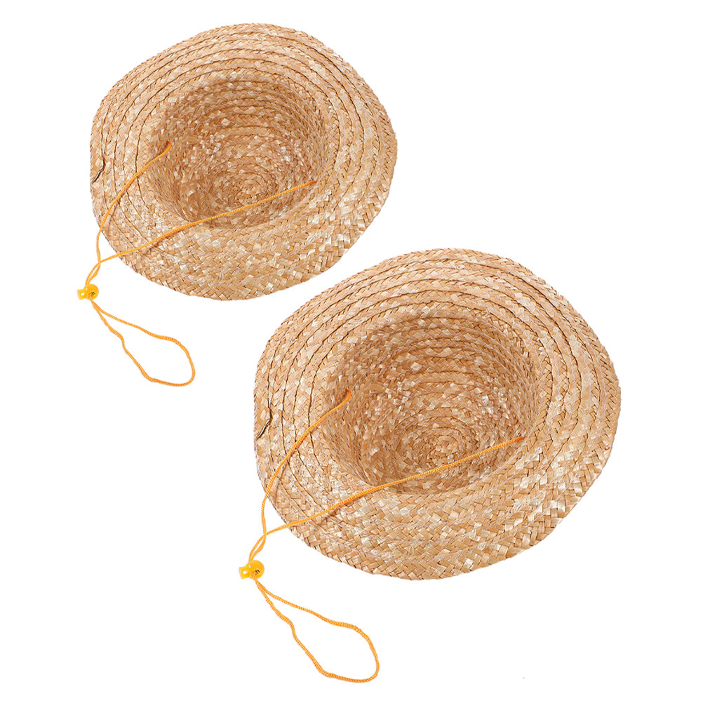 2 stuks kinderstrohoed, natuur - Sun Hat Wide Brim recensie en prijs